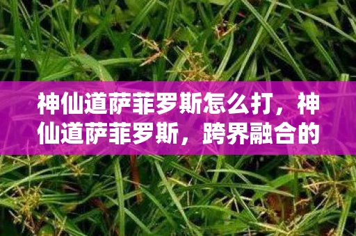 神仙道萨菲罗斯怎么打，神仙道萨菲罗斯，跨界融合的神话