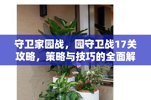守卫家园战，园守卫战17关攻略，策略与技巧的全面解析