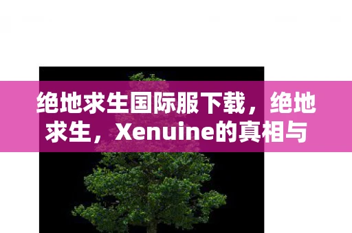 绝地求生国际服下载，绝地求生，Xenuine的真相与影响
