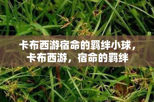 卡布西游宿命的羁绊小球，卡布西游，宿命的羁绊