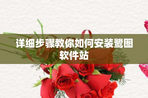详细步骤教你如何安装鹭图软件站图片