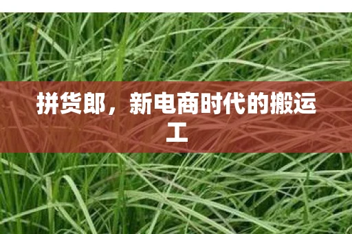 拼货郎，新电商时代的搬运工