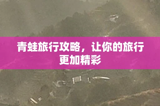 青蛙旅行攻略，让你的旅行更加精彩