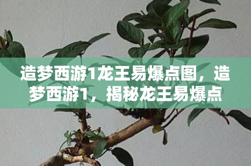 造梦西游1龙王易爆点图，造梦西游1，揭秘龙王易爆点，助你轻松通关！