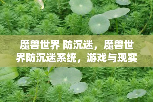 魔兽世界 防沉迷，魔兽世界防沉迷系统，游戏与现实的平衡