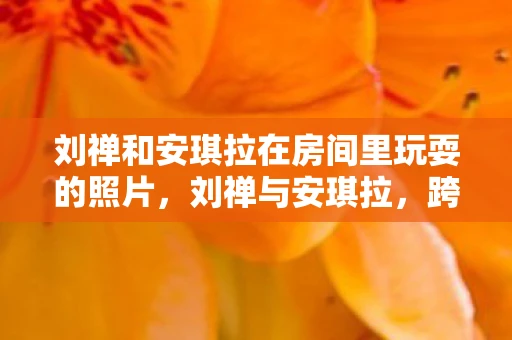 刘禅和安琪拉在房间里玩耍的照片，刘禅与安琪拉，跨越时空的奇妙相遇