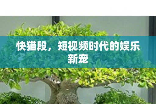 快猫段，短视频时代的娱乐新宠