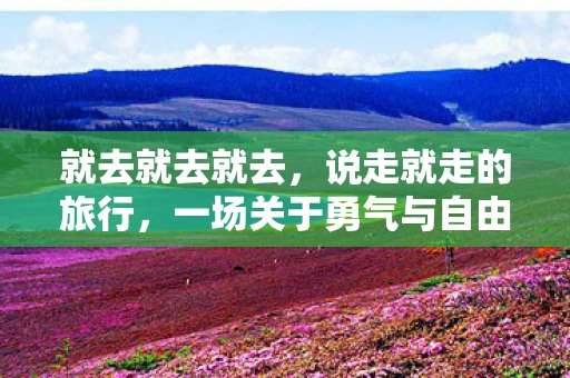 就去就去就去，说走就走的旅行，一场关于勇气与自由的探索