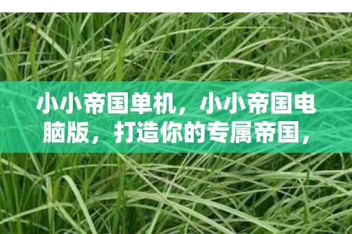 小小帝国单机，小小帝国电脑版，打造你的专属帝国，征服虚拟世界