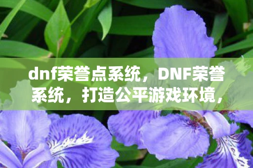 dnf荣誉点系统，DNF荣誉系统，打造公平游戏环境，让玩家共享荣耀