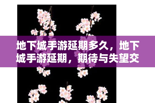 地下城手游延期多久，地下城手游延期，期待与失望交织的等待
