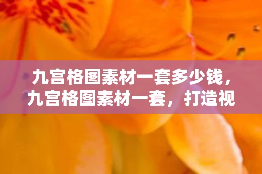 九宫格图素材一套多少钱，九宫格图素材一套，打造视觉冲击力与创意无限