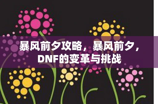 暴风前夕攻略，暴风前夕，DNF的变革与挑战