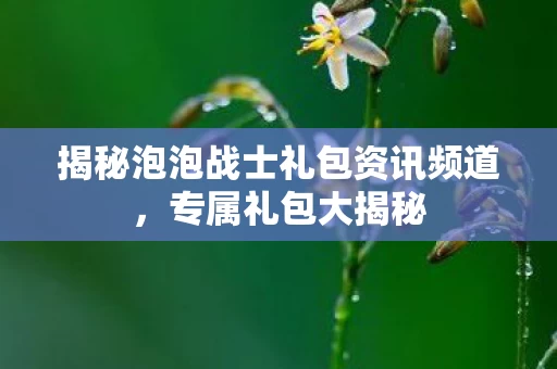 揭秘泡泡战士礼包资讯频道图片