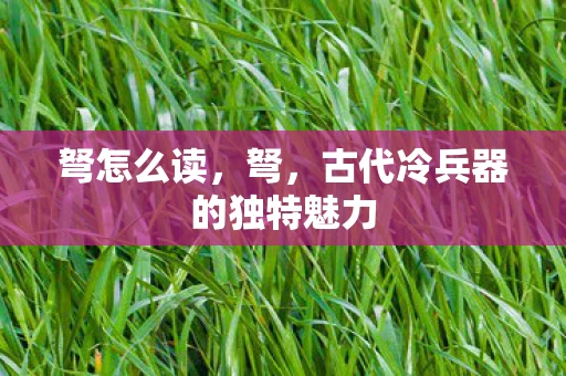 弩怎么读，弩，古代冷兵器的独特魅力