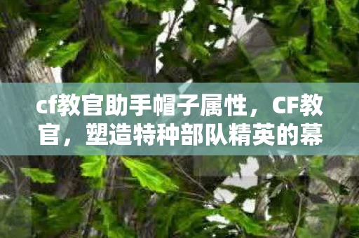 cf教官助手帽子属性，CF教官，塑造特种部队精英的幕后英雄