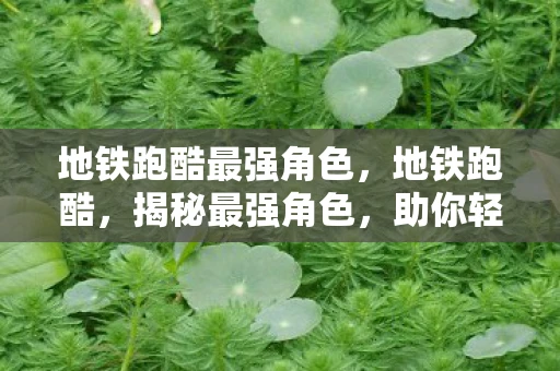 地铁跑酷最强角色，地铁跑酷，揭秘最强角色，助你轻松称霸赛道