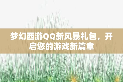 梦幻西游QQ新风暴礼包图片