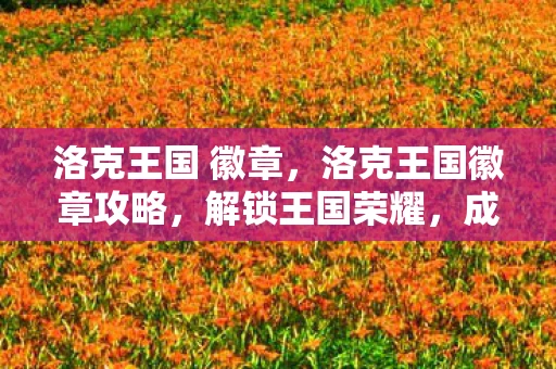 洛克王国 徽章，洛克王国徽章攻略，解锁王国荣耀，成就传奇之旅