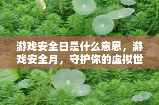 游戏安全日是什么意思，游戏安全月，守护你的虚拟世界