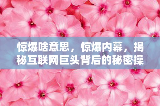 惊爆啥意思，惊爆内幕，揭秘互联网巨头背后的秘密操作