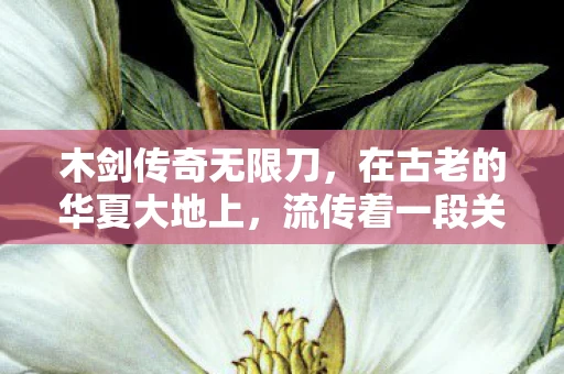 木剑传奇无限刀，在古老的华夏大地上，流传着一段关于木剑的传奇故事。这段故事不仅讲述了一把木剑的神奇力量，更揭示了它背后所蕴含的智慧与勇气
