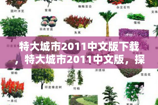 特大城市2011中文版下载，特大城市2011中文版，探索未来都市的无限可能