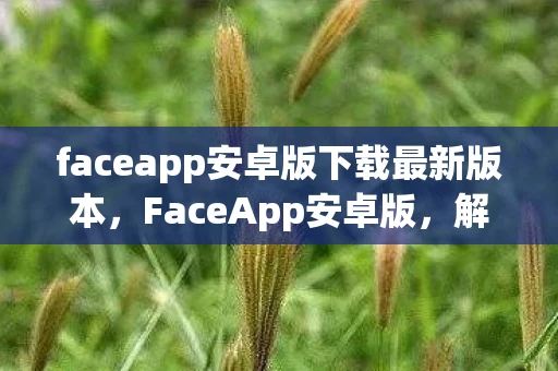 faceapp安卓版下载最新版本，FaceApp安卓版，解锁你的照片与创意的无限可能
