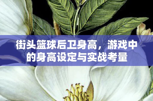 游戏中的身高设定与实战考量图片