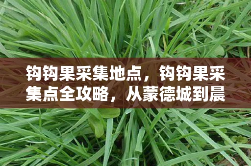 钩钩果采集地点，钩钩果采集点全攻略，从蒙德城到晨曦酒庄的探险之旅