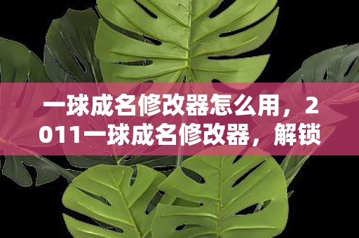 一球成名修改器怎么用，2011一球成名修改器，解锁足球梦想的神秘钥匙