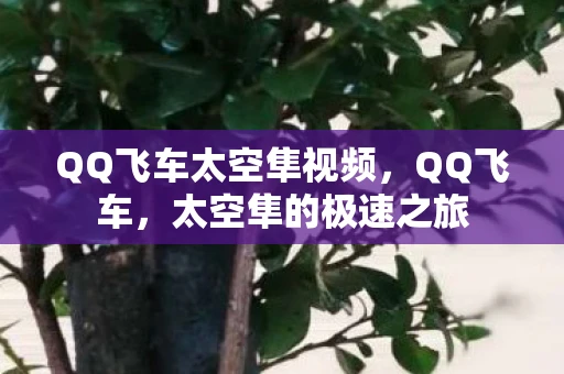QQ飞车太空隼视频，QQ飞车，太空隼的极速之旅