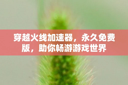 穿越火线加速器，永久免费版，助你畅游游戏世界
