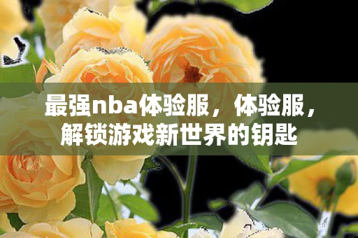 最强nba体验服，体验服，解锁游戏新世界的钥匙