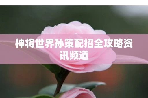 神将世界孙策配招全攻略资讯频道图片