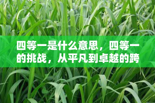 四等一是什么意思，四等一的挑战，从平凡到卓越的跨越