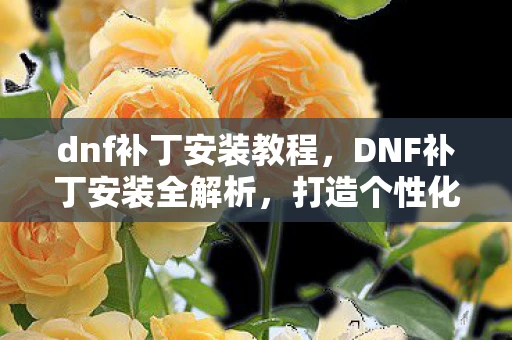 dnf补丁安装教程，DNF补丁安装全解析，打造个性化游戏世界的必备技能