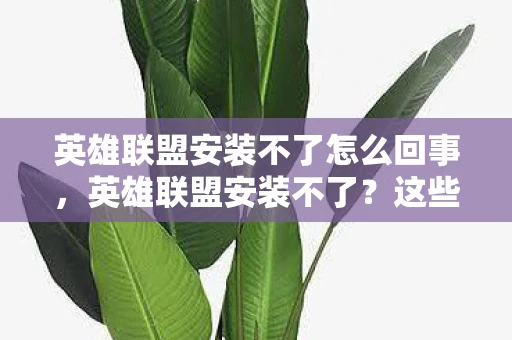 英雄联盟安装不了怎么回事，英雄联盟安装不了？这些步骤帮你轻松解决