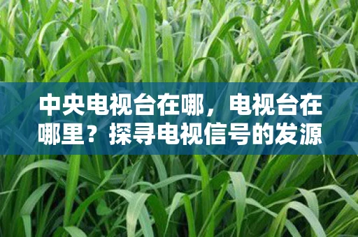 中央电视台在哪，电视台在哪里？探寻电视信号的发源地