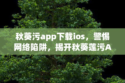 秋葵污app下载ios，警惕网络陷阱，揭开秋葵莲污APP的神秘面纱
