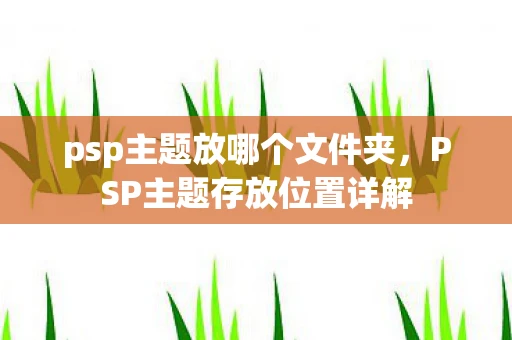 psp主题放哪个文件夹，PSP主题存放位置详解