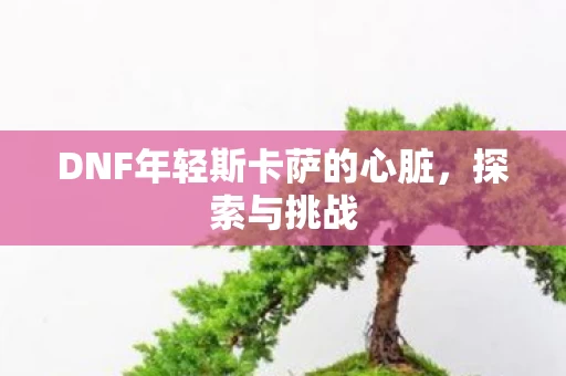 DNF年轻斯卡萨的心脏图片