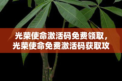 光荣使命激活码免费领取，光荣使命免费激活码获取攻略