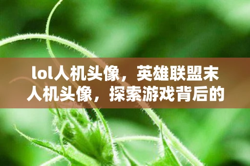 lol人机头像，英雄联盟末人机头像，探索游戏背后的故事