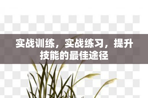 实战训练，实战练习，提升技能的最佳途径