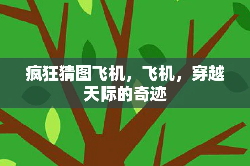 疯狂猜图飞机，飞机，穿越天际的奇迹