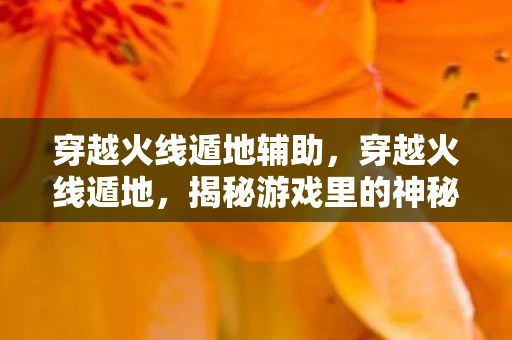 穿越火线遁地辅助，穿越火线遁地，揭秘游戏里的神秘技巧