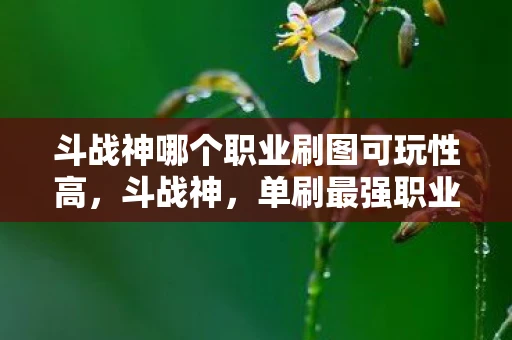 斗战神哪个职业刷图可玩性高，斗战神，单刷最强职业全解析