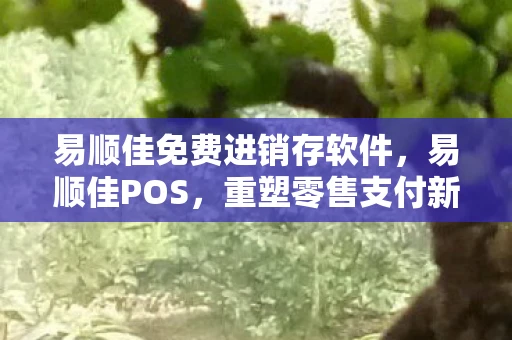 易顺佳免费进销存软件，易顺佳POS，重塑零售支付新生态