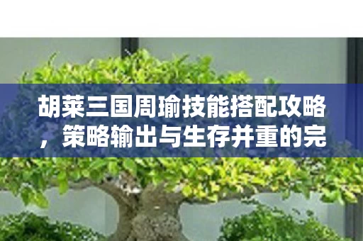 策略输出与生存并重的完美组合图片